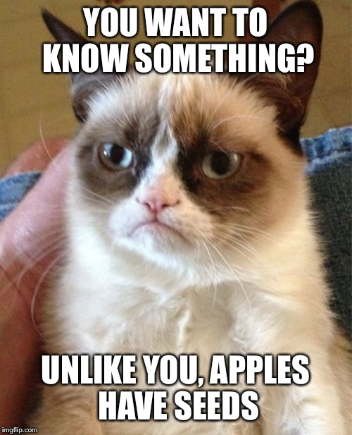 The pain of a thousand  | YOU WANT TO KNOW SOMETHING? UNLIKE YOU, APPLES HAVE SEEDS | image tagged in memes,grumpy cat | made w/ Imgflip meme maker