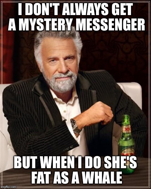 Mystery messenger | I DON'T ALWAYS GET A MYSTERY MESSENGER BUT WHEN I DO SHE'S FAT AS A WHALE | image tagged in memes,the most interesting man in the world | made w/ Imgflip meme maker