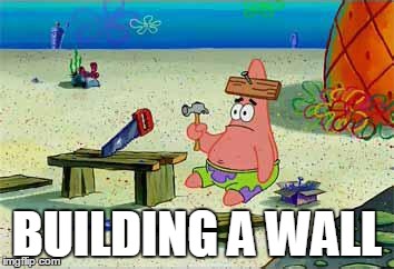BUILDING A WALL | image tagged in patrick | made w/ Imgflip meme maker
