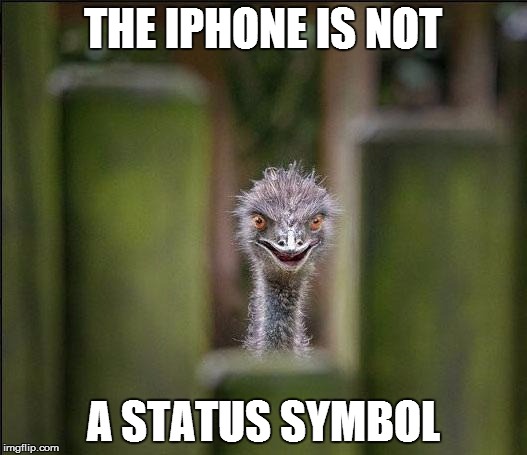 Louring Ostrich | THE IPHONE IS NOT A STATUS SYMBOL | image tagged in louring ostrich | made w/ Imgflip meme maker