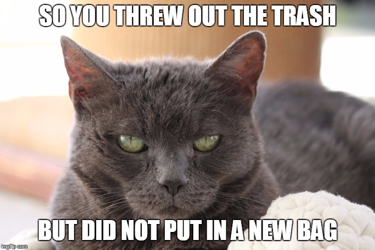 disapproving cat | SO YOU THREW OUT THE TRASH BUT DID NOT PUT IN A NEW BAG | image tagged in disapproving cat,memes | made w/ Imgflip meme maker