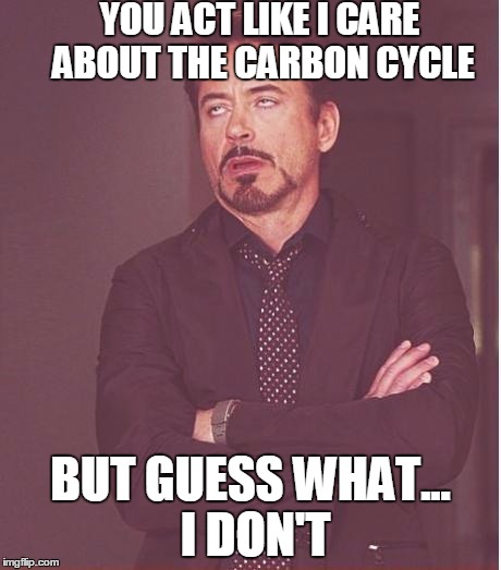 Face You Make Robert Downey Jr | YOU ACT LIKE I CARE ABOUT THE CARBON CYCLE BUT GUESS WHAT... I DON'T | image tagged in memes,face you make robert downey jr | made w/ Imgflip meme maker