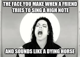 THE FACE YOU MAKE WHEN A FRIEND TRIES TO SING A HIGH NOTE AND SOUNDS LIKE A DYING HORSE | image tagged in stfu | made w/ Imgflip meme maker