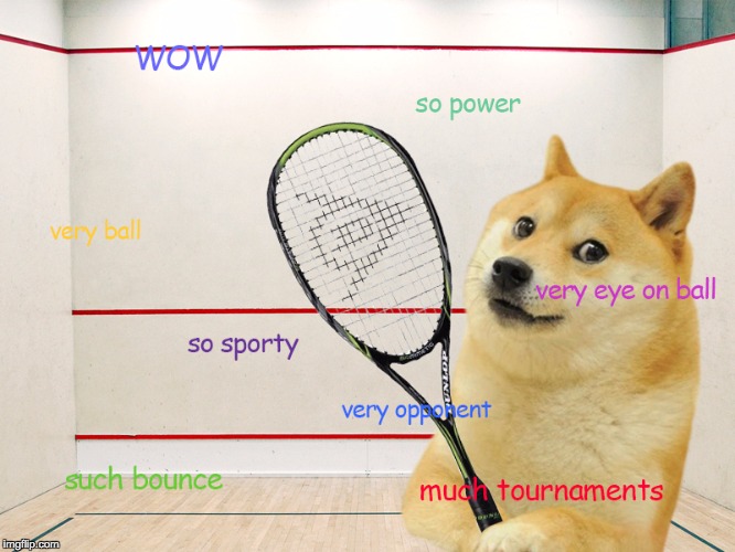 image tagged in doge squash | made w/ Imgflip meme maker