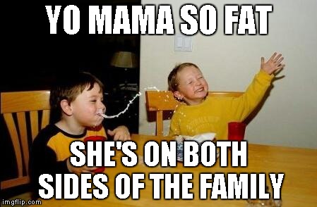 Yo Momma So Fat | YO MAMA SO FAT SHE'S ON BOTH SIDES OF THE FAMILY | image tagged in yo momma so fat | made w/ Imgflip meme maker