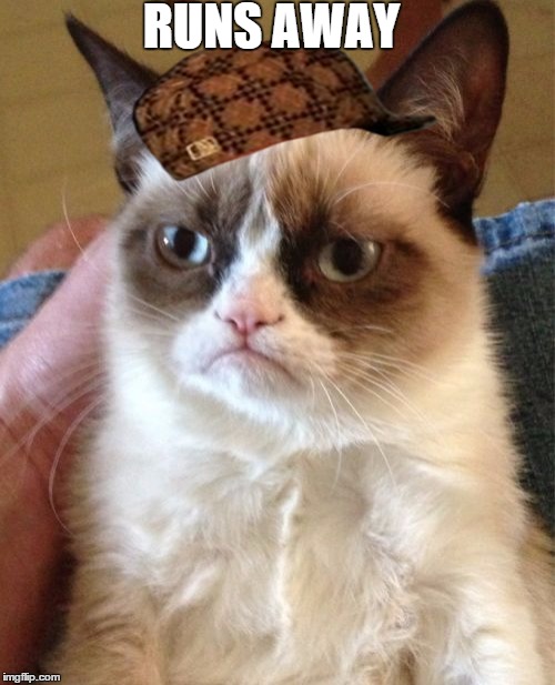 Grumpy Cat Meme | RUNS AWAY | image tagged in memes,grumpy cat,scumbag | made w/ Imgflip meme maker