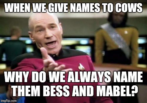 Picard Wtf Meme | WHEN WE GIVE NAMES TO COWS WHY DO WE ALWAYS NAME THEM BESS AND MABEL? | image tagged in memes,picard wtf | made w/ Imgflip meme maker