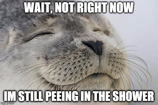 Satisfied Seal Meme | WAIT, NOT RIGHT NOW IM STILL PEEING IN THE SHOWER | image tagged in memes,satisfied seal | made w/ Imgflip meme maker