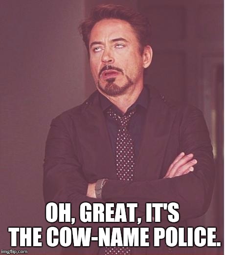 Face You Make Robert Downey Jr Meme | OH, GREAT, IT'S THE COW-NAME POLICE. | image tagged in memes,face you make robert downey jr | made w/ Imgflip meme maker