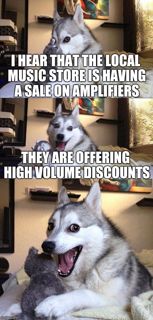 Bad Pun Dog | I HEAR THAT THE LOCAL MUSIC STORE IS HAVING A SALE ON AMPLIFIERS THEY ARE OFFERING HIGH VOLUME DISCOUNTS | image tagged in memes,bad pun dog | made w/ Imgflip meme maker