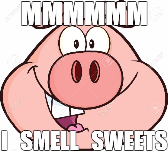 I smell sweets | MMMMMM I   SMELL   SWEETS | image tagged in pig 2,funny | made w/ Imgflip meme maker