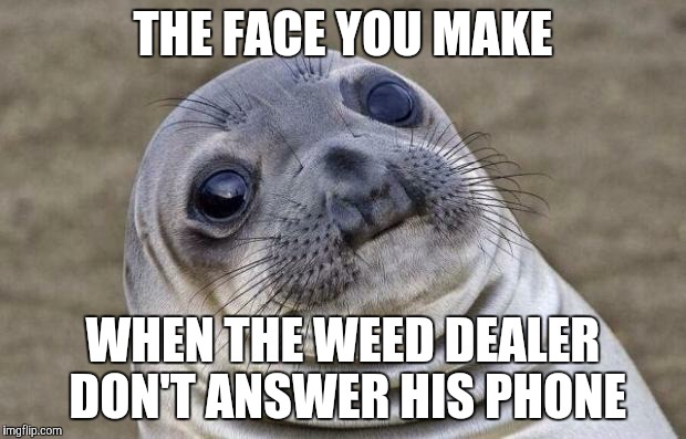 Awkward Moment Sealion | THE FACE YOU MAKE WHEN THE WEED DEALER DON'T ANSWER HIS PHONE | image tagged in memes,awkward moment sealion | made w/ Imgflip meme maker