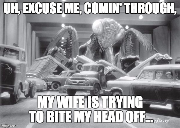 Deadly Mantis | UH, EXCUSE ME, COMIN' THROUGH, MY WIFE IS TRYING TO BITE MY HEAD OFF... | image tagged in praying mantis | made w/ Imgflip meme maker