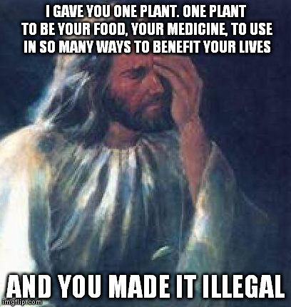 Jesus Facepalm | I GAVE YOU ONE PLANT. ONE PLANT TO BE YOUR FOOD, YOUR MEDICINE, TO USE IN SO MANY WAYS TO BENEFIT YOUR LIVES AND YOU MADE IT ILLEGAL | image tagged in jesus facepalm | made w/ Imgflip meme maker