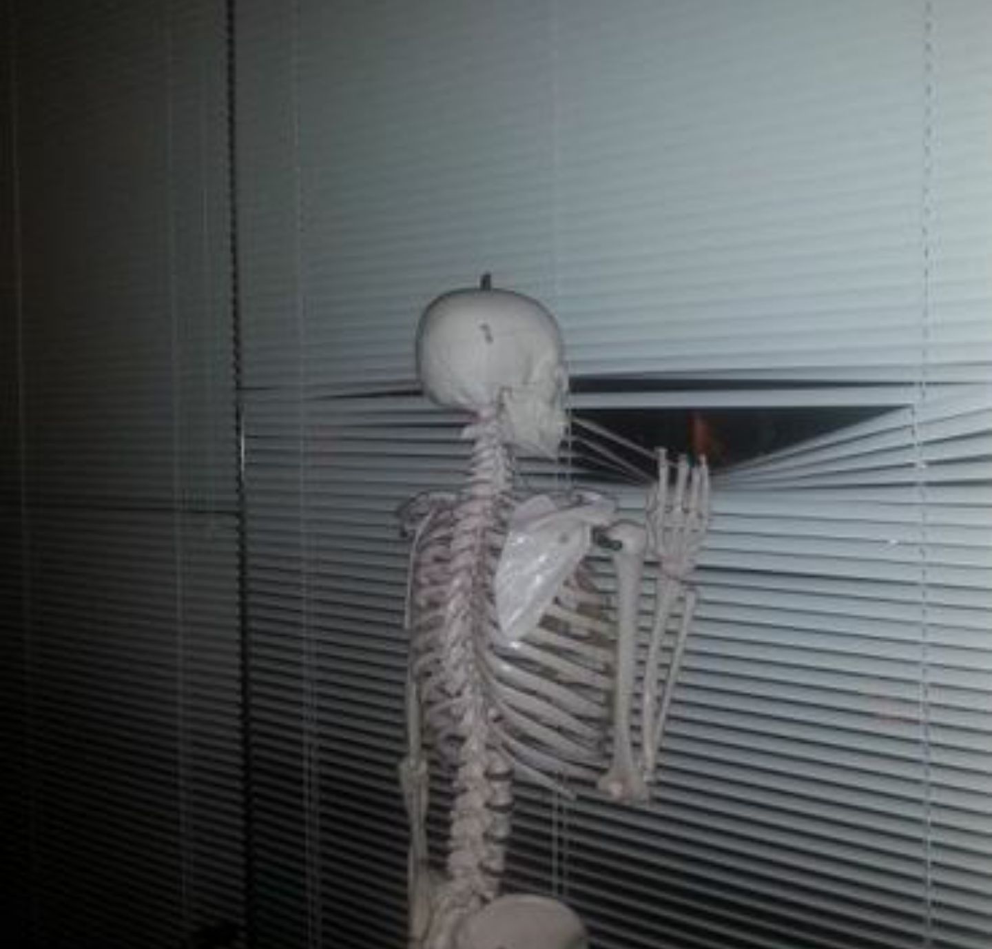 ME WAITING FOR MY SISTER TO PAY ME BACK Blank Meme Template