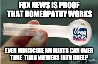 Fox News | FOX NEWS IS PROOF THAT HOMEOPATHY WORKS EVEN MINISCULE AMOUNTS CAN OVER TIME  TURN VIEWERS INTO SHEEP | image tagged in fox news | made w/ Imgflip meme maker