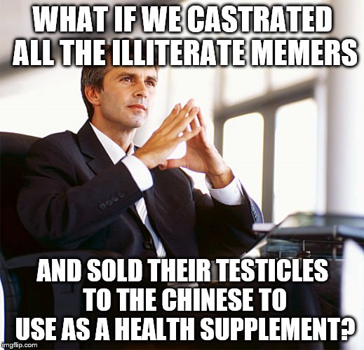 Million Dollar Idea Michael | WHAT IF WE CASTRATED ALL THE ILLITERATE MEMERS AND SOLD THEIR TESTICLES TO THE CHINESE TO USE AS A HEALTH SUPPLEMENT? | image tagged in million dollar idea michael | made w/ Imgflip meme maker