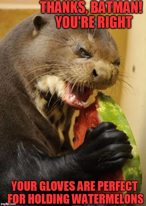 I otter buy myself a pair! lol | THANKS, BATMAN!  YOU'RE RIGHT YOUR GLOVES ARE PERFECT FOR HOLDING WATERMELONS | image tagged in memes,self loathing otter | made w/ Imgflip meme maker