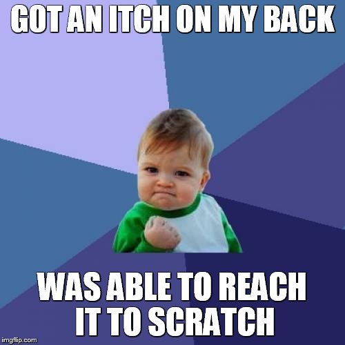 Success Kid Meme | GOT AN ITCH ON MY BACK WAS ABLE TO REACH IT TO SCRATCH | image tagged in memes,success kid | made w/ Imgflip meme maker
