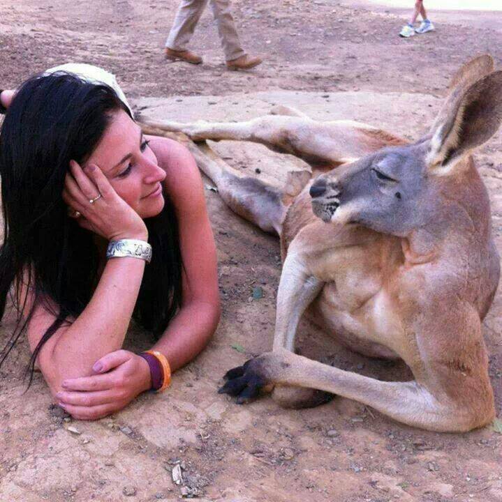 Kangaroo with girl Blank Meme Template