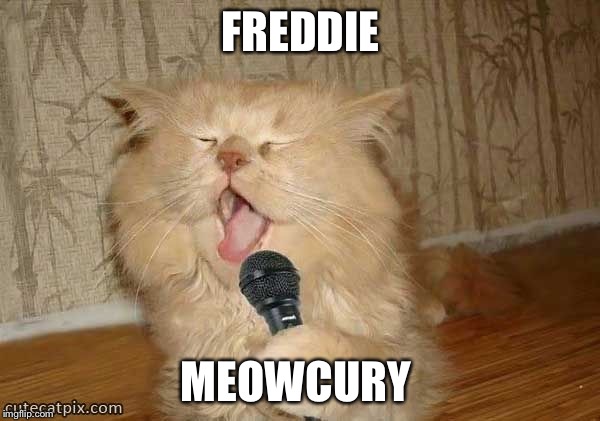 Cat Singing | FREDDIE MEOWCURY | image tagged in cat singing | made w/ Imgflip meme maker