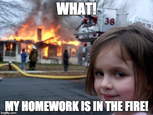 Disaster Girl Meme | WHAT! MY HOMEWORK IS IN THE FIRE! | image tagged in memes,disaster girl | made w/ Imgflip meme maker