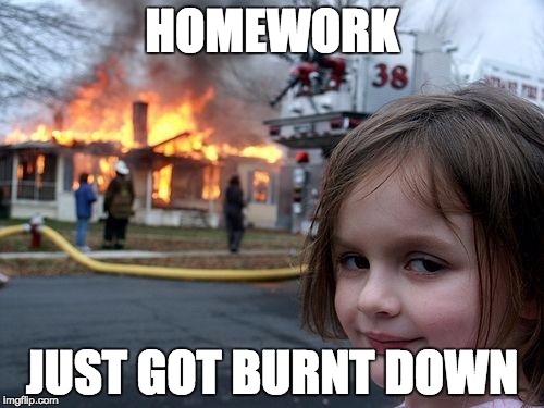 Disaster Girl | HOMEWORK JUST GOT BURNT DOWN | image tagged in memes,disaster girl | made w/ Imgflip meme maker