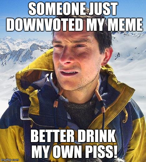 Bear Grylls | SOMEONE JUST DOWNVOTED MY MEME BETTER DRINK MY OWN PISS! | image tagged in memes,bear grylls | made w/ Imgflip meme maker