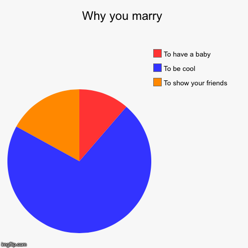 image tagged in funny,pie charts | made w/ Imgflip chart maker