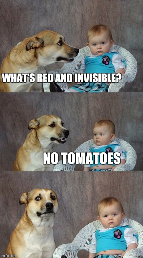 Dad Joke Dog | WHAT'S RED AND INVISIBLE? NO TOMATOES | image tagged in memes,dad joke dog | made w/ Imgflip meme maker