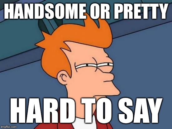 Futurama Fry Meme | HANDSOME OR PRETTY HARD TO SAY | image tagged in memes,futurama fry | made w/ Imgflip meme maker