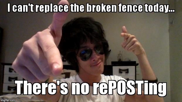 Pun pwn life | I can't replace the broken fence today... There's no rePOSTing | image tagged in a real punny guy | made w/ Imgflip meme maker