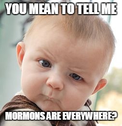 Skeptical Baby Meme | YOU MEAN TO TELL ME MORMONS ARE EVERYWHERE? | image tagged in memes,skeptical baby | made w/ Imgflip meme maker