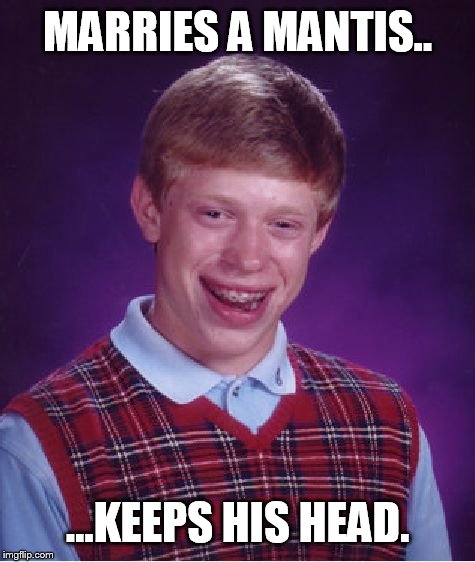 Bad Luck Brian Meme | MARRIES A MANTIS.. ...KEEPS HIS HEAD. | image tagged in memes,bad luck brian | made w/ Imgflip meme maker