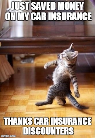 Cool Cat Stroll | JUST SAVED MONEY ON MY CAR INSURANCE THANKS CAR INSURANCE DISCOUNTERS | image tagged in memes,cool cat stroll | made w/ Imgflip meme maker
