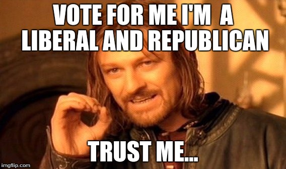 One Does Not Simply | VOTE FOR ME I'M  A LIBERAL AND REPUBLICAN TRUST ME... | image tagged in memes,one does not simply | made w/ Imgflip meme maker