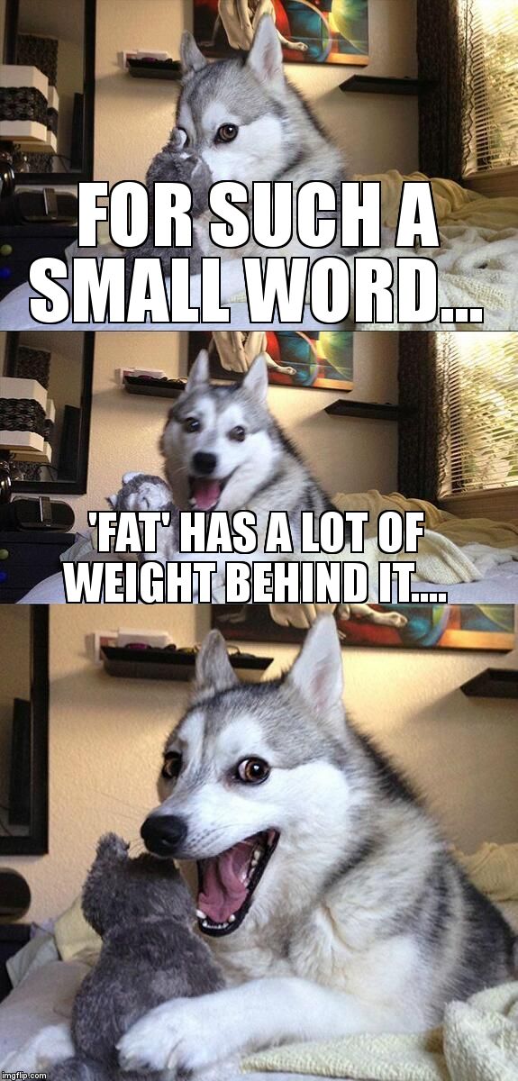 Bad Pun Dog Meme | FOR SUCH A SMALL WORD... 'FAT' HAS A LOT OF WEIGHT BEHIND IT.... | image tagged in memes,bad pun dog | made w/ Imgflip meme maker