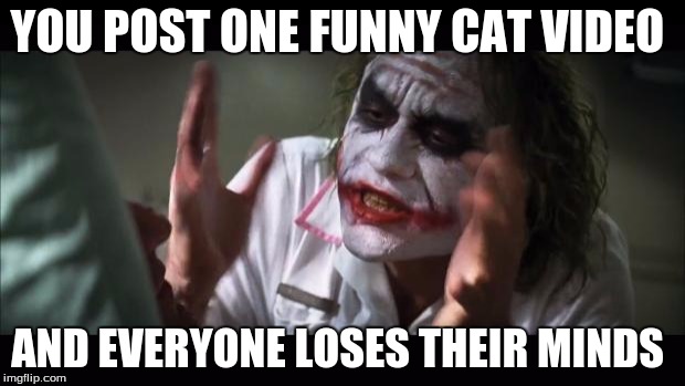 And everybody loses their minds Meme | YOU POST ONE FUNNY CAT VIDEO AND EVERYONE LOSES THEIR MINDS | image tagged in memes,and everybody loses their minds | made w/ Imgflip meme maker