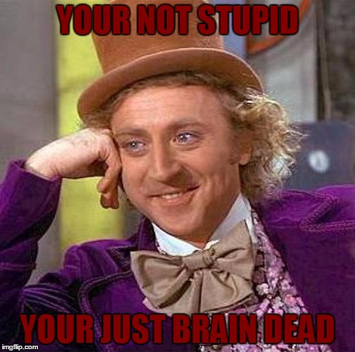 Creepy Condescending Wonka Meme | YOUR NOT STUPID YOUR JUST BRAIN DEAD | image tagged in memes,creepy condescending wonka | made w/ Imgflip meme maker