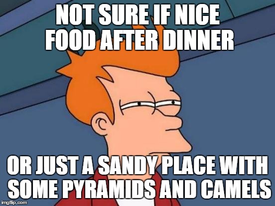 Futurama Fry | NOT SURE IF NICE FOOD AFTER DINNER OR JUST A SANDY PLACE WITH SOME PYRAMIDS AND CAMELS | image tagged in memes,futurama fry | made w/ Imgflip meme maker