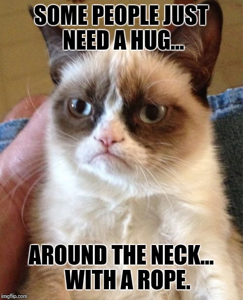 Grumpy Cat Meme | SOME PEOPLE JUST NEED A HUG... AROUND THE NECK...   WITH A ROPE. | image tagged in memes,grumpy cat | made w/ Imgflip meme maker