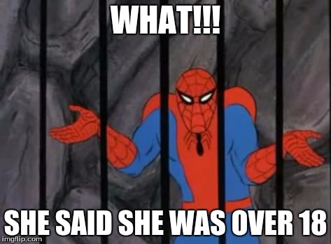 spiderman jail | WHAT!!! SHE SAID SHE WAS OVER 18 | image tagged in spiderman jail | made w/ Imgflip meme maker