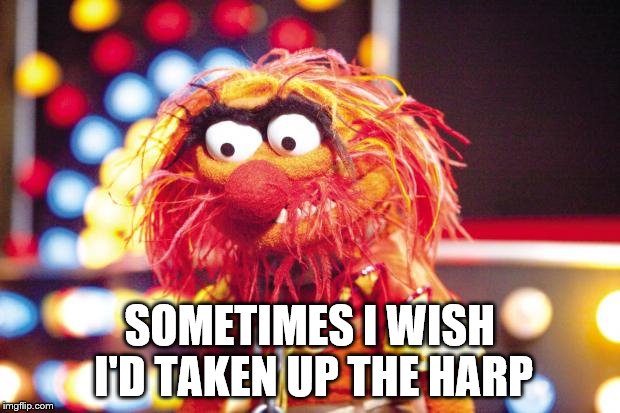 Don't judge a book by it's cover | SOMETIMES I WISH I'D TAKEN UP THE HARP | image tagged in animal,muppet,muppets | made w/ Imgflip meme maker