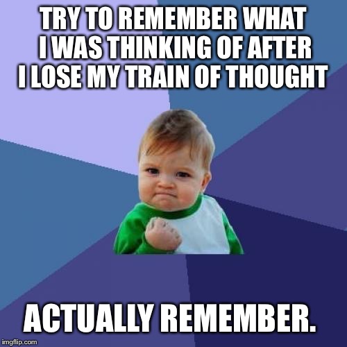 Success Kid | TRY TO REMEMBER WHAT I WAS THINKING OF AFTER I LOSE MY TRAIN OF THOUGHT ACTUALLY REMEMBER. | image tagged in memes,success kid,AdviceAnimals | made w/ Imgflip meme maker