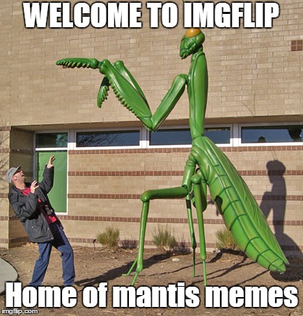 WELCOME TO IMGFLIP Home of mantis memes | made w/ Imgflip meme maker