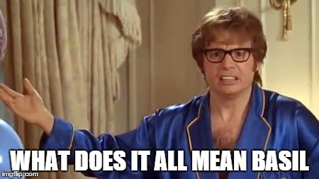 Austin Powers Honestly Meme | WHAT DOES IT ALL MEAN BASIL | image tagged in memes,austin powers honestly | made w/ Imgflip meme maker