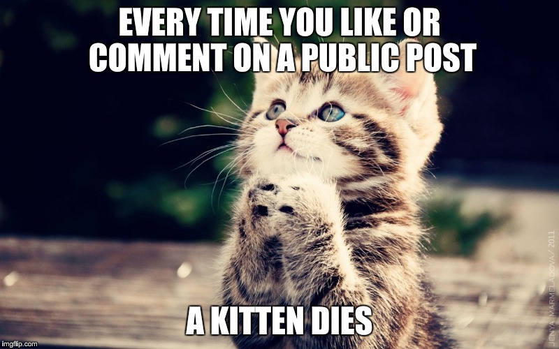 Every time you like or comment on a public post | EVERY TIME YOU LIKE OR COMMENT ON A PUBLIC POST A KITTEN DIES | image tagged in like,comment,post,kitten | made w/ Imgflip meme maker