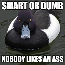 Angry Advice Mallard | SMART OR DUMB NOBODY LIKES AN ASS | image tagged in angry advice mallard,AdviceAnimals | made w/ Imgflip meme maker