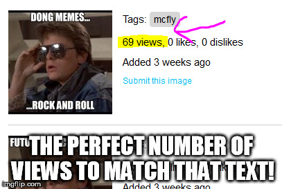 The Perfect Number of Views | THE PERFECT NUMBER OF VIEWS TO MATCH THAT TEXT! | image tagged in marty mcfly,mcfly,back to the future | made w/ Imgflip meme maker
