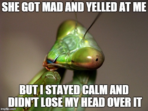 Calm and Collective Mantis | SHE GOT MAD AND YELLED AT ME BUT I STAYED CALM AND DIDN'T LOSE MY HEAD OVER IT | image tagged in pondering mantis,mantis | made w/ Imgflip meme maker